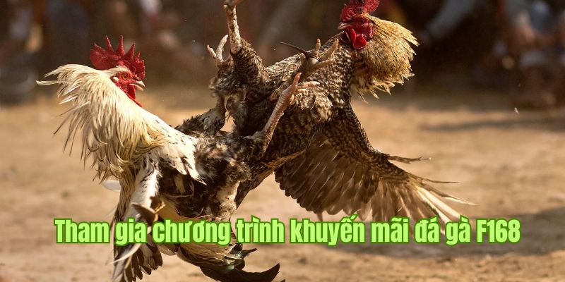 Khuyến mãi đá gà F168 hoàn trả lên đến tỷ lệ 2%