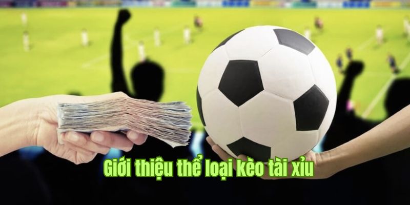 Khái niệm kèo Tài Xỉu dễ hiểu dành cho người hâm mộ bóng đá